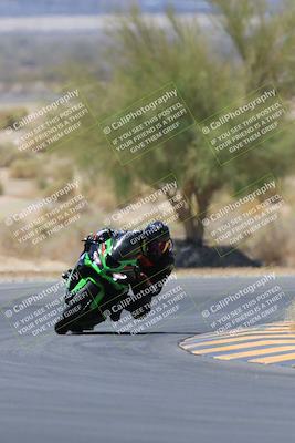 media/May-14-2023-SoCal Trackdays (Sun) [[024eb53b40]]/Turn 5 Tree of Life (1125am)/